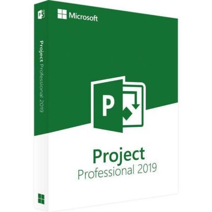 PROJECT 2019 PROFESSIONAL